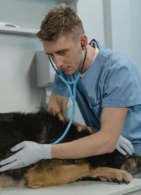 UNIFORMES PARA CLÍNICAS VETERINARIAS: Higiene y Seguridad en el Cuidado de los Animales